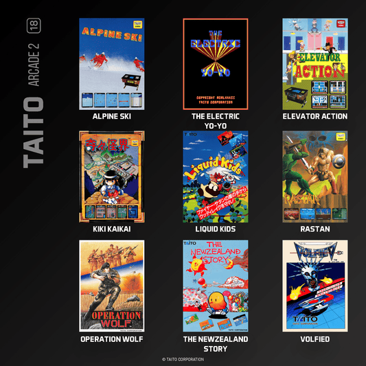 Evercade Taito Arcade Collection 2 for Game – CastleMania Games