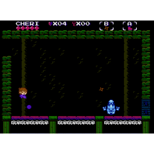 REKNUM - Complete In Box With Manual (NES) for NES Game – CastleMania Games