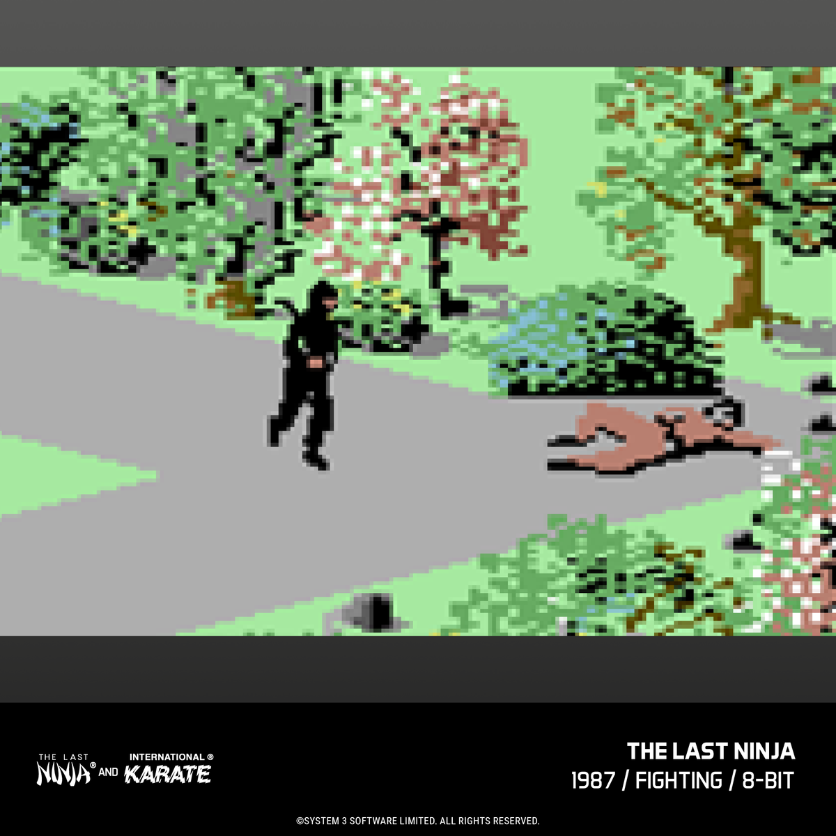 Evercade James Pond and The Last Ninja and IK Collection Bundle