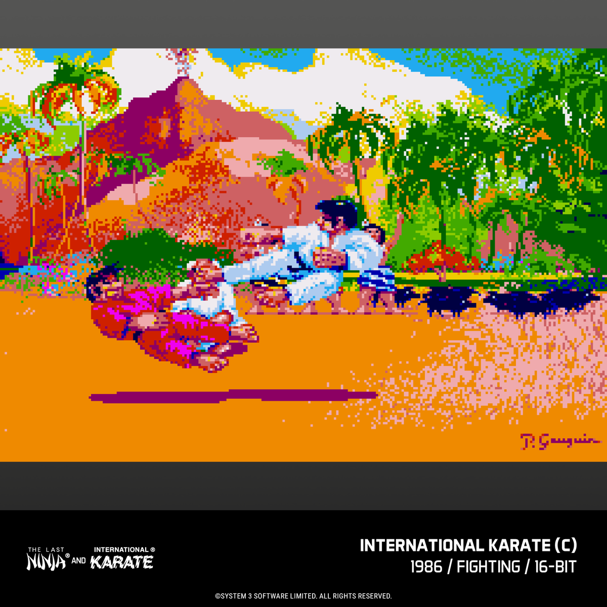 Evercade James Pond and The Last Ninja and IK Collection Bundle