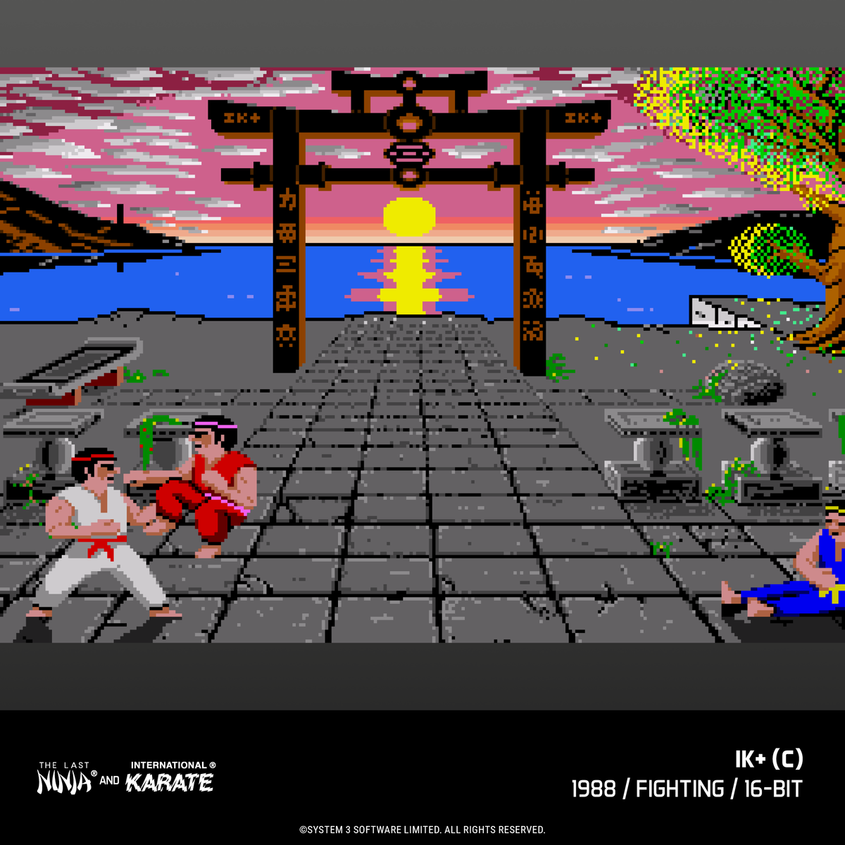 Evercade James Pond and The Last Ninja and IK Collection Bundle