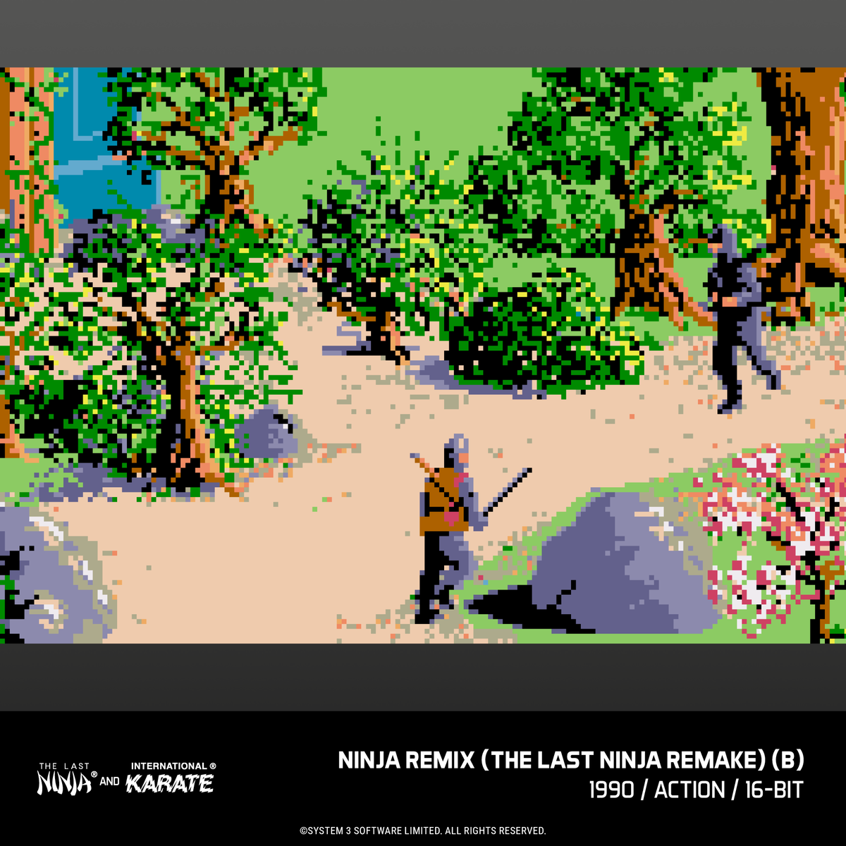 Evercade James Pond and The Last Ninja and IK Collection Bundle
