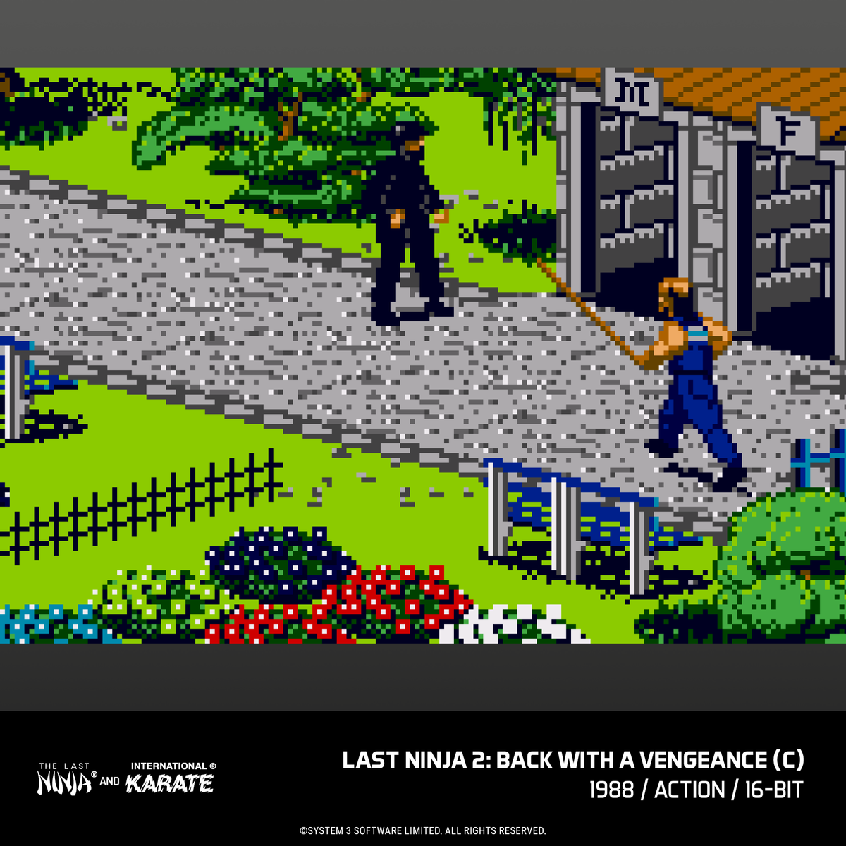 Evercade James Pond and The Last Ninja and IK Collection Bundle