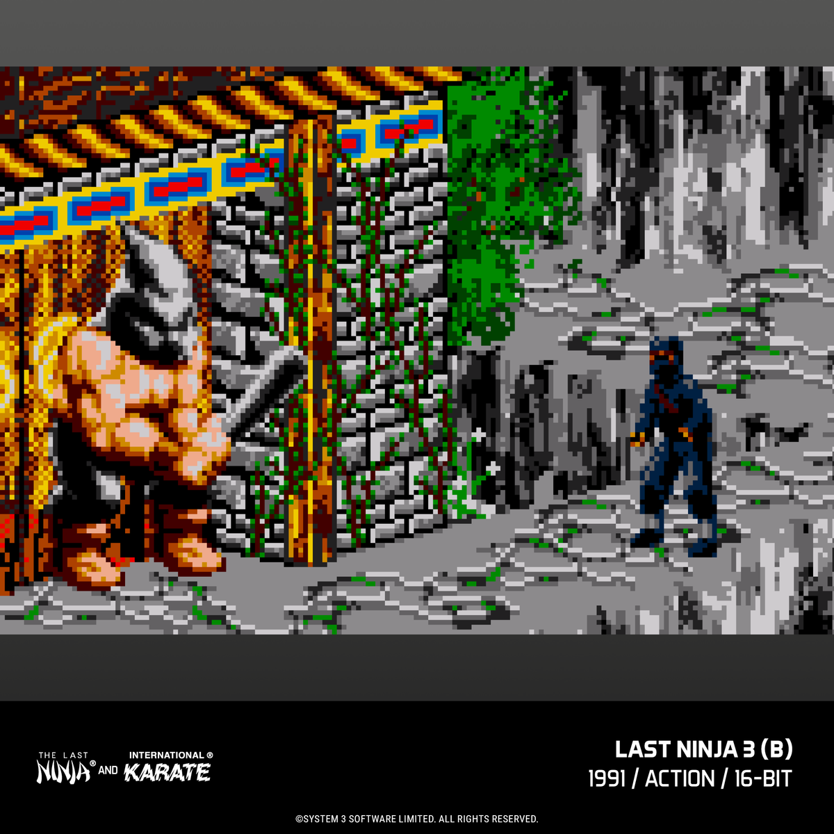 Evercade James Pond and The Last Ninja and IK Collection Bundle