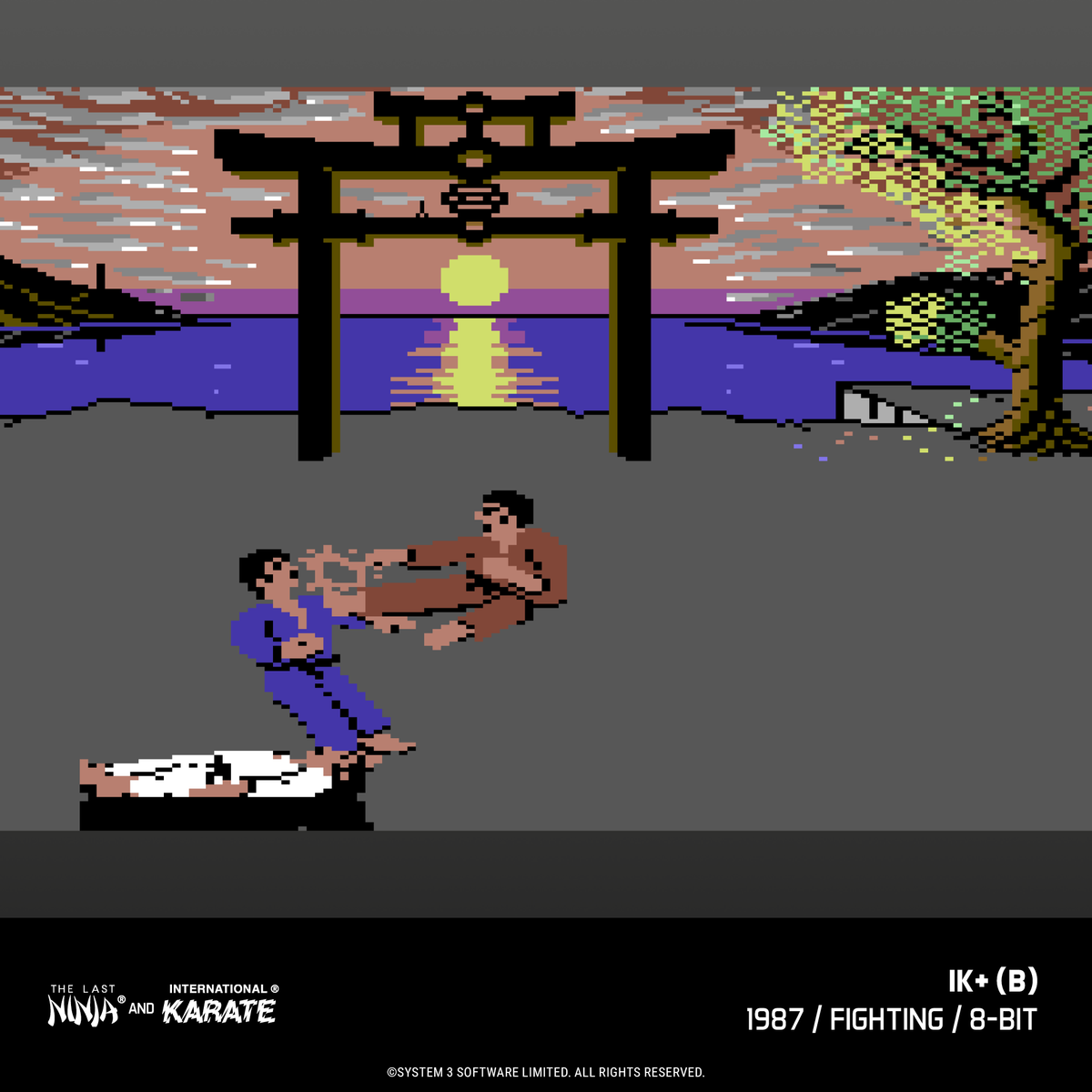 Evercade James Pond and The Last Ninja and IK Collection Bundle