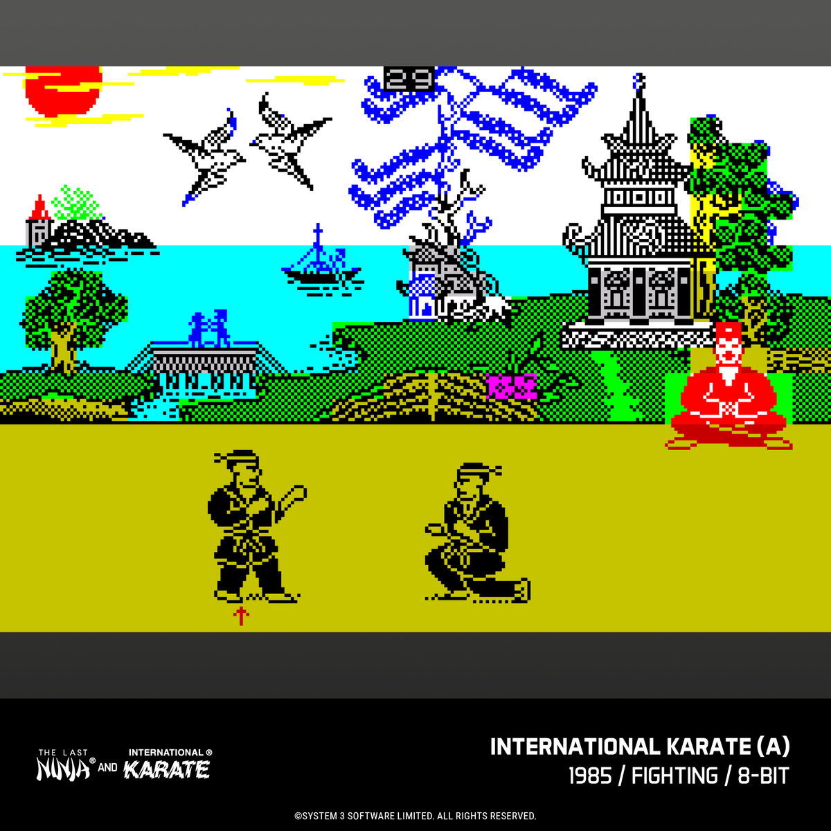 Evercade James Pond and The Last Ninja and IK Collection Bundle