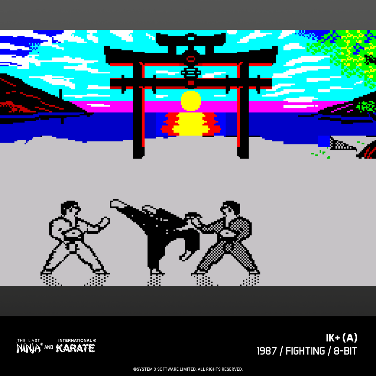 Evercade James Pond and The Last Ninja and IK Collection Bundle