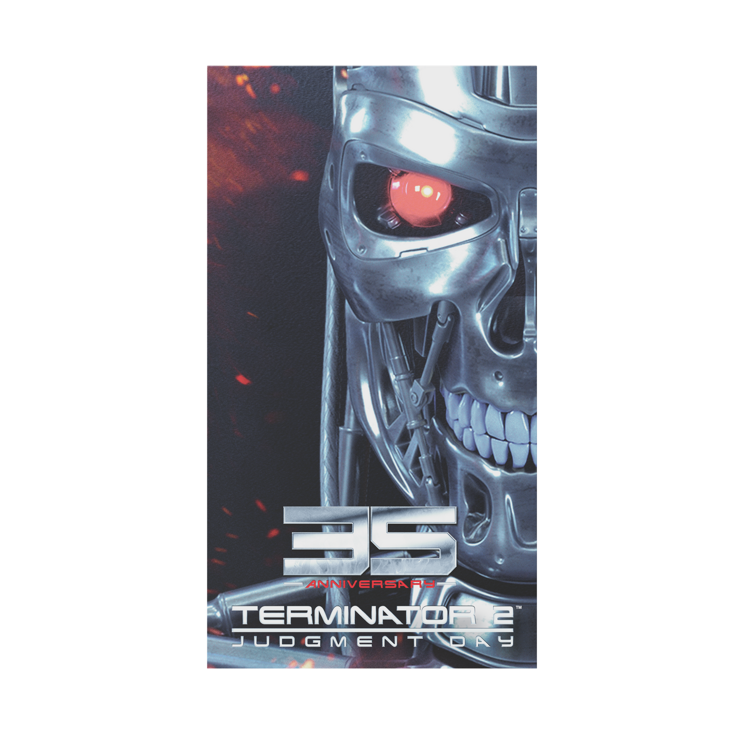 Retro Fighters Terminator 2® Mini VHS Cassette Switch Game Case