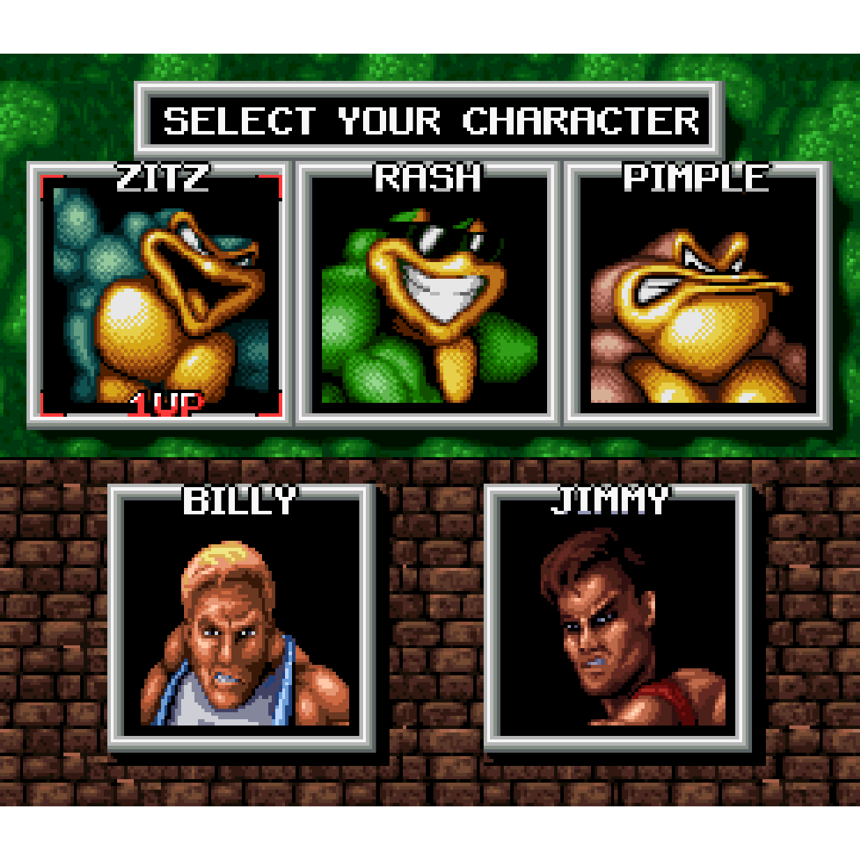 Battletoads & Double Dragon (SNES) - Collector’s Edition for SNES Game – CastleMania Games