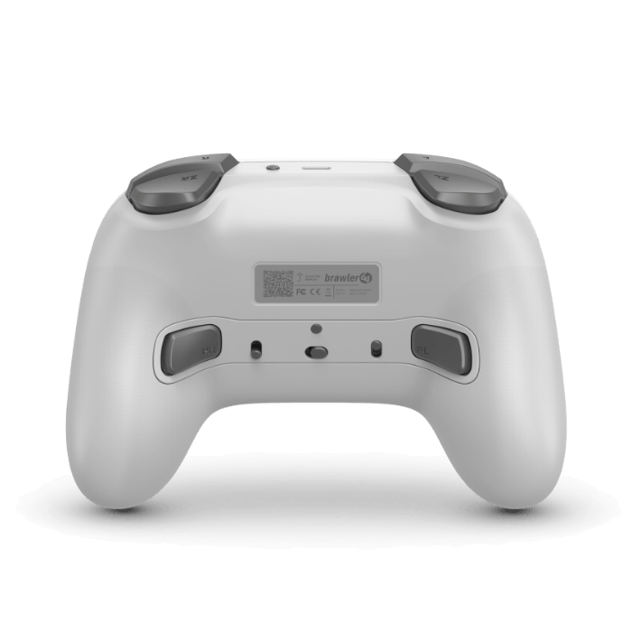 Retro Fighters Brawler64 Pro Series