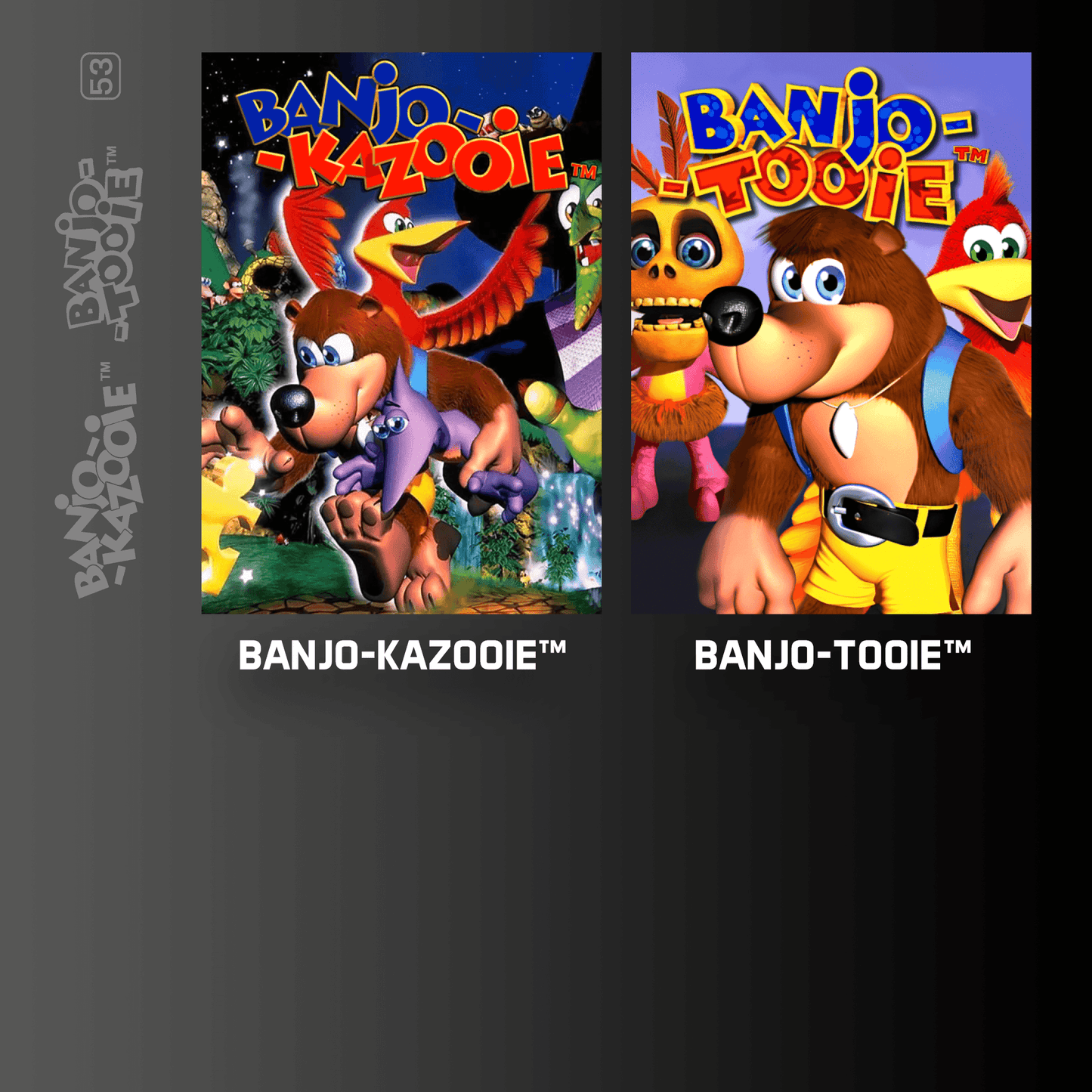Evercade Banjo Kazooie Double Pack for Game – CastleMania Games