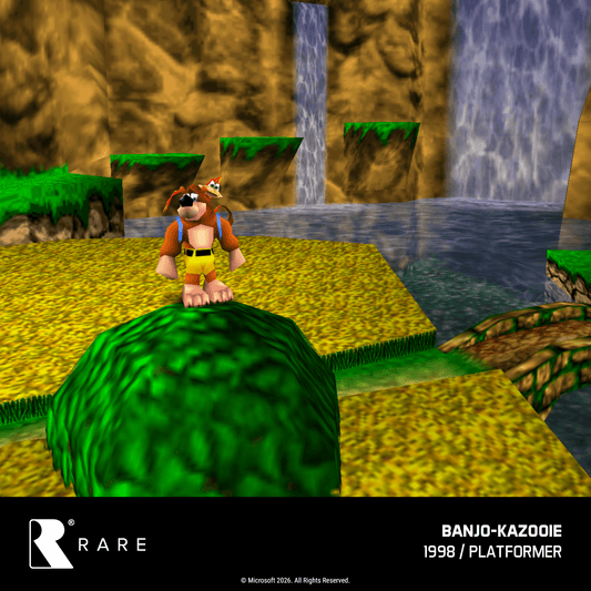 Evercade Banjo Kazooie Double Pack for Game – CastleMania Games