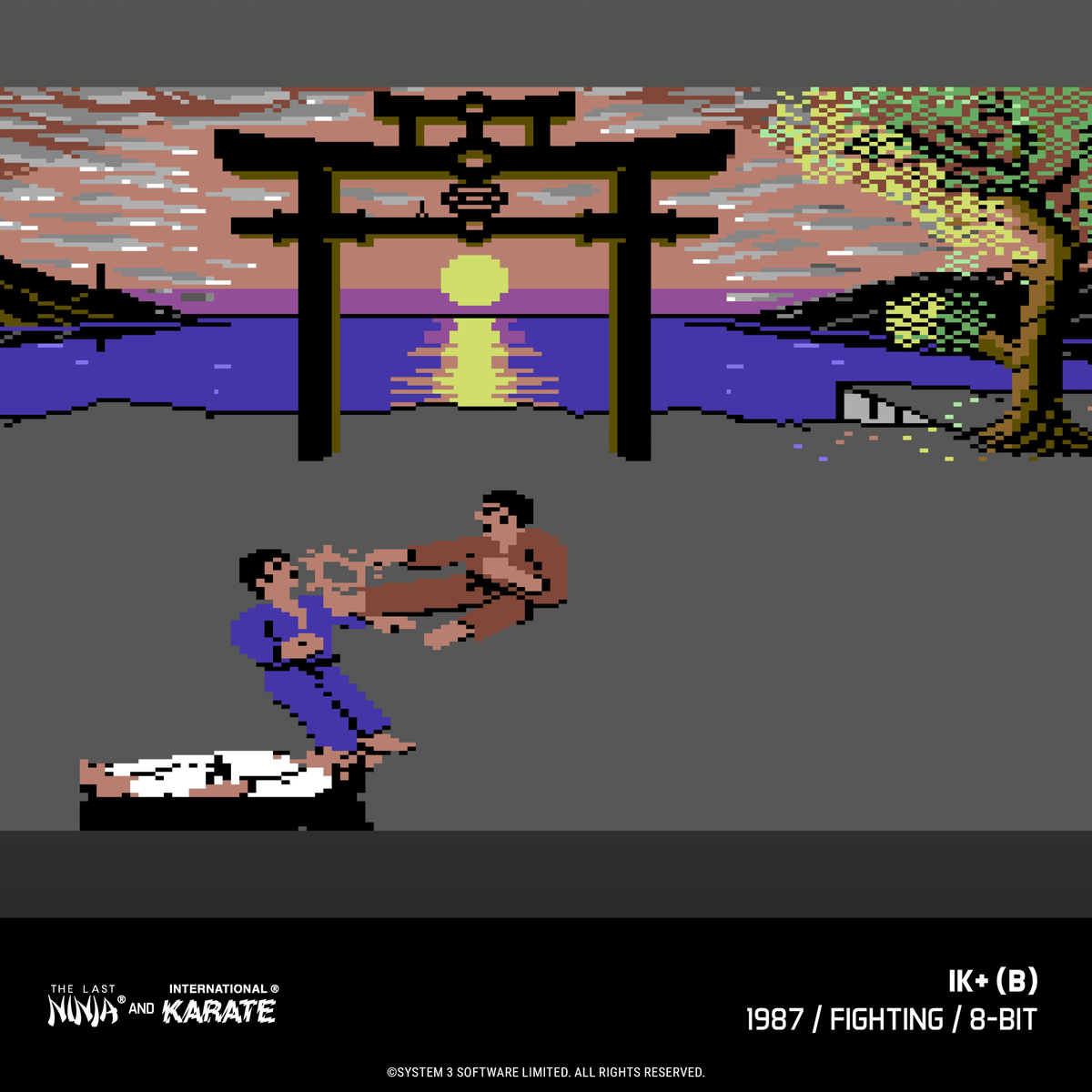 Evercade James Pond and The Last Ninja and IK Collection Bundle for Game – CastleMania Games