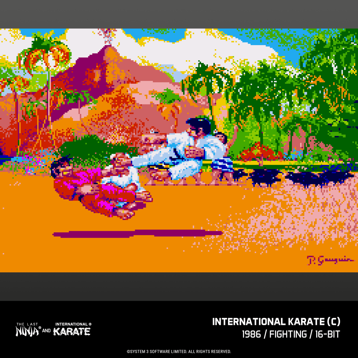Evercade James Pond and The Last Ninja and IK Collection Bundle for Game – CastleMania Games