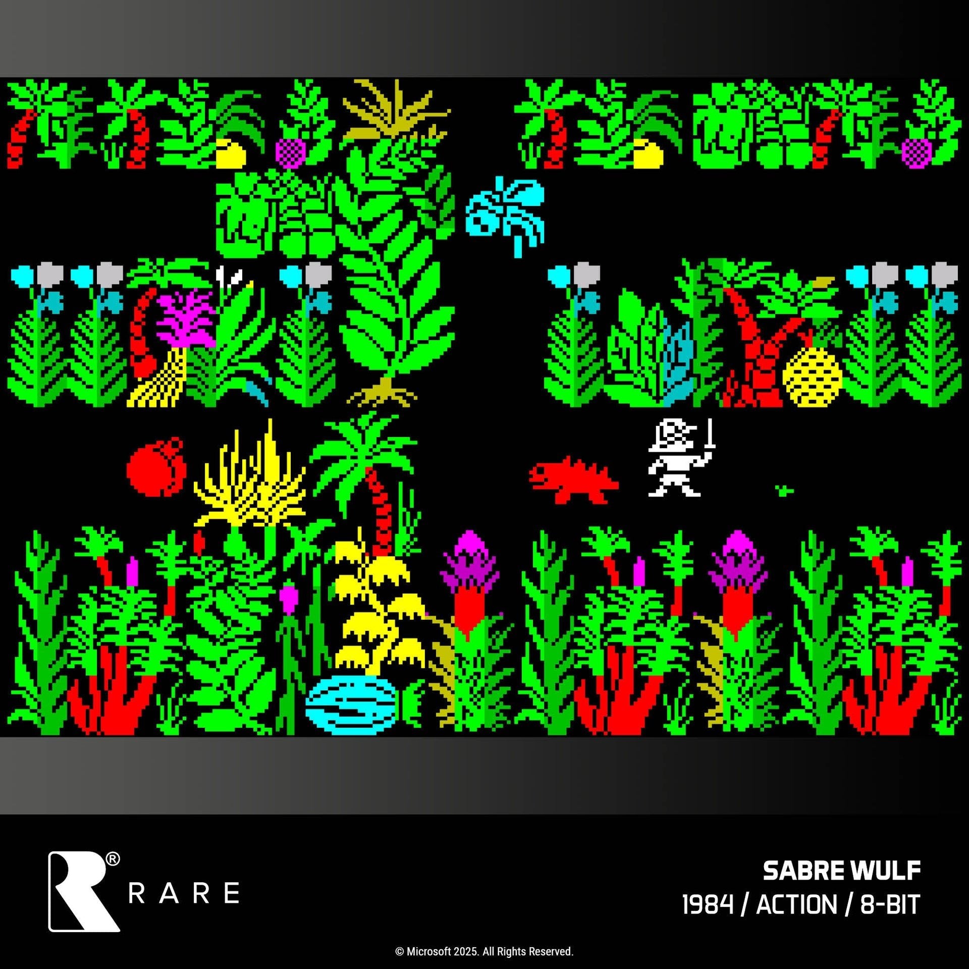 Evercade Llamasoft, Activision 1 and Rare Collection 1 Triple Pack