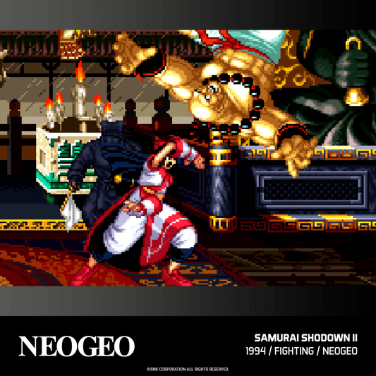 Evercade NEOGEO Arcade Collection 2 for Game – CastleMania Games
