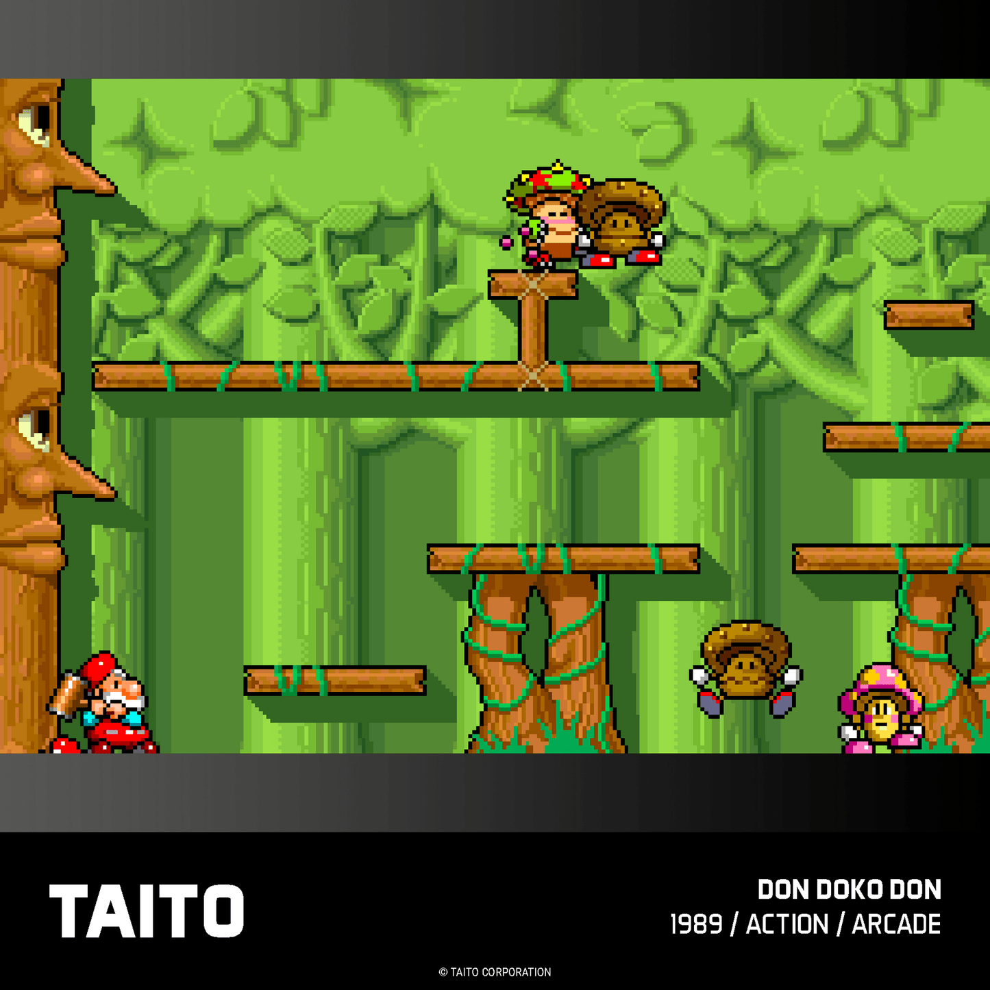 Evercade Taito Arcade Collection 1 for Game – CastleMania Games