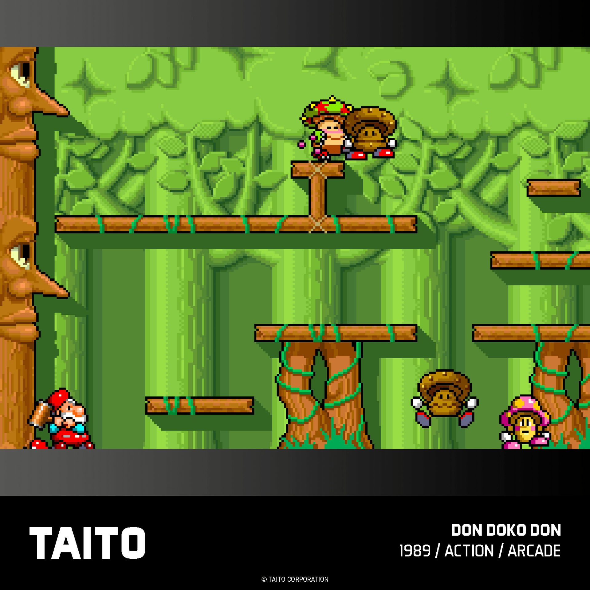 Evercade Taito Arcade Collection 1 for Game – CastleMania Games