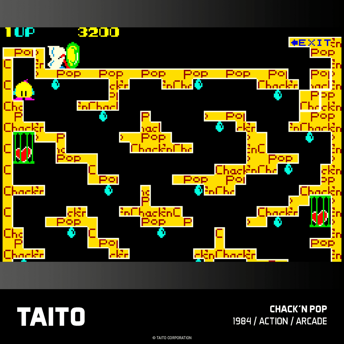 Evercade Taito Arcade Collection 1 for Game – CastleMania Games