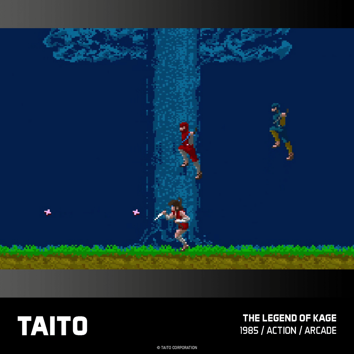 Evercade Taito Arcade Collection 1 for Game – CastleMania Games