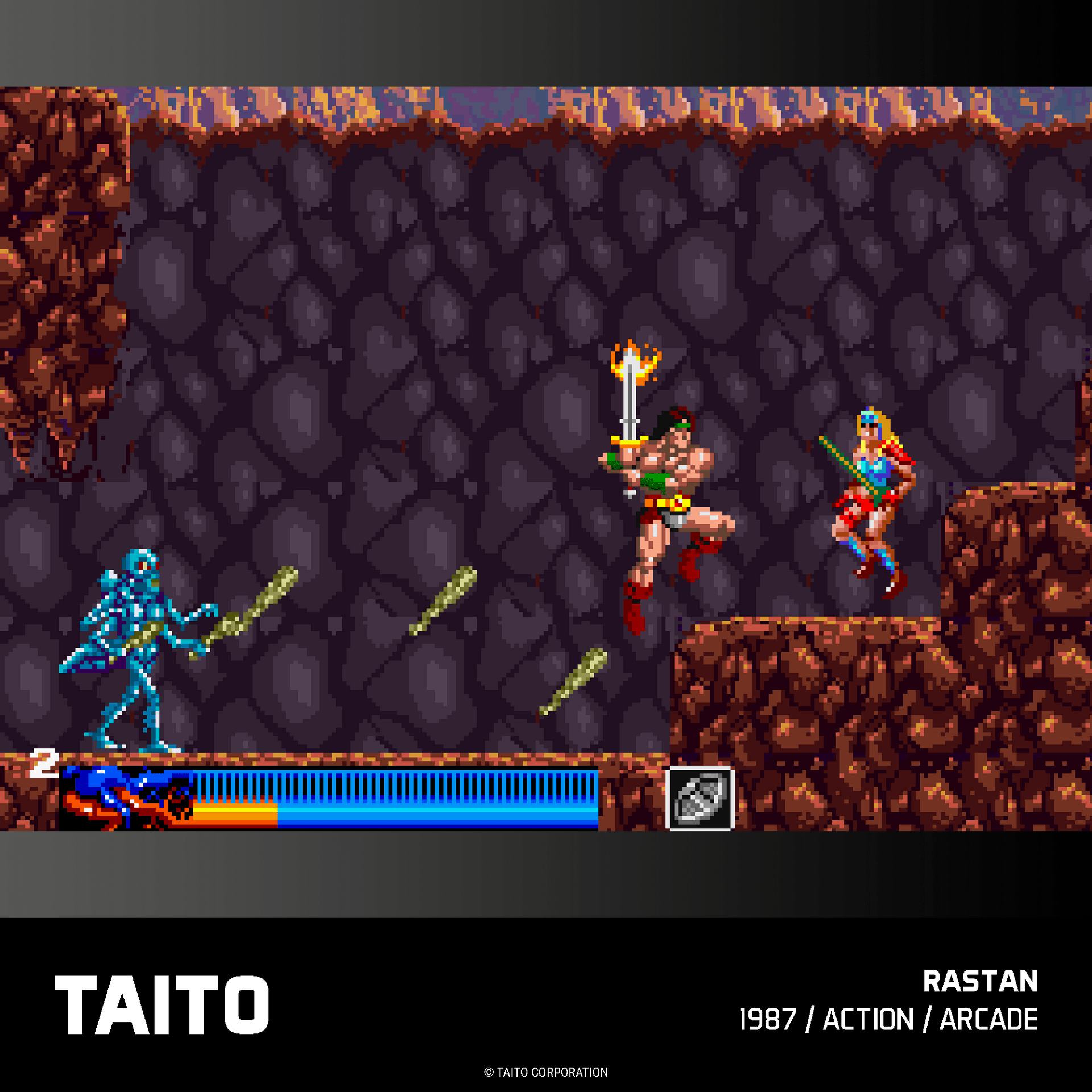 Evercade Taito Arcade Collection 2 for Game – CastleMania Games