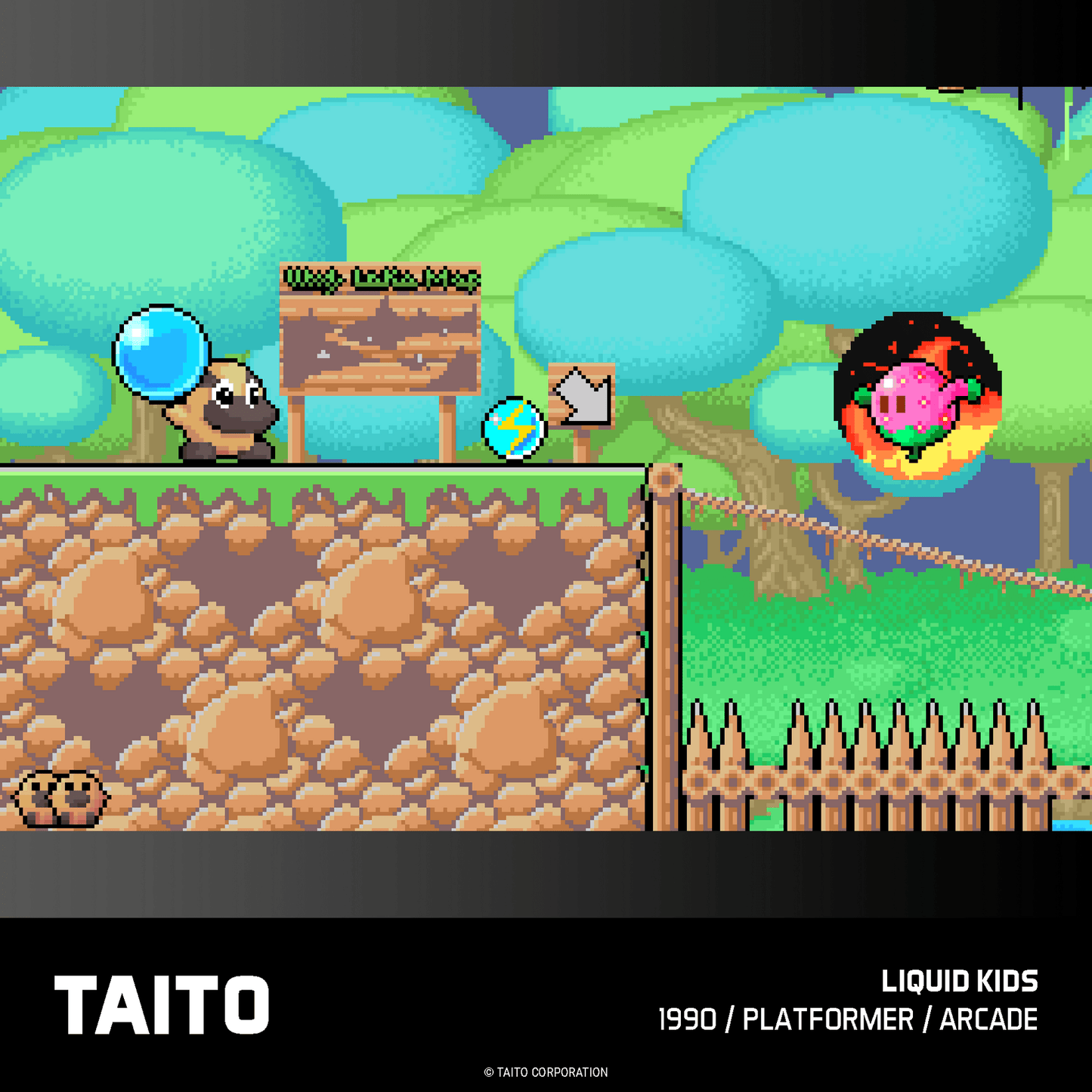 Evercade Taito Arcade Collection 2 for Game – CastleMania Games