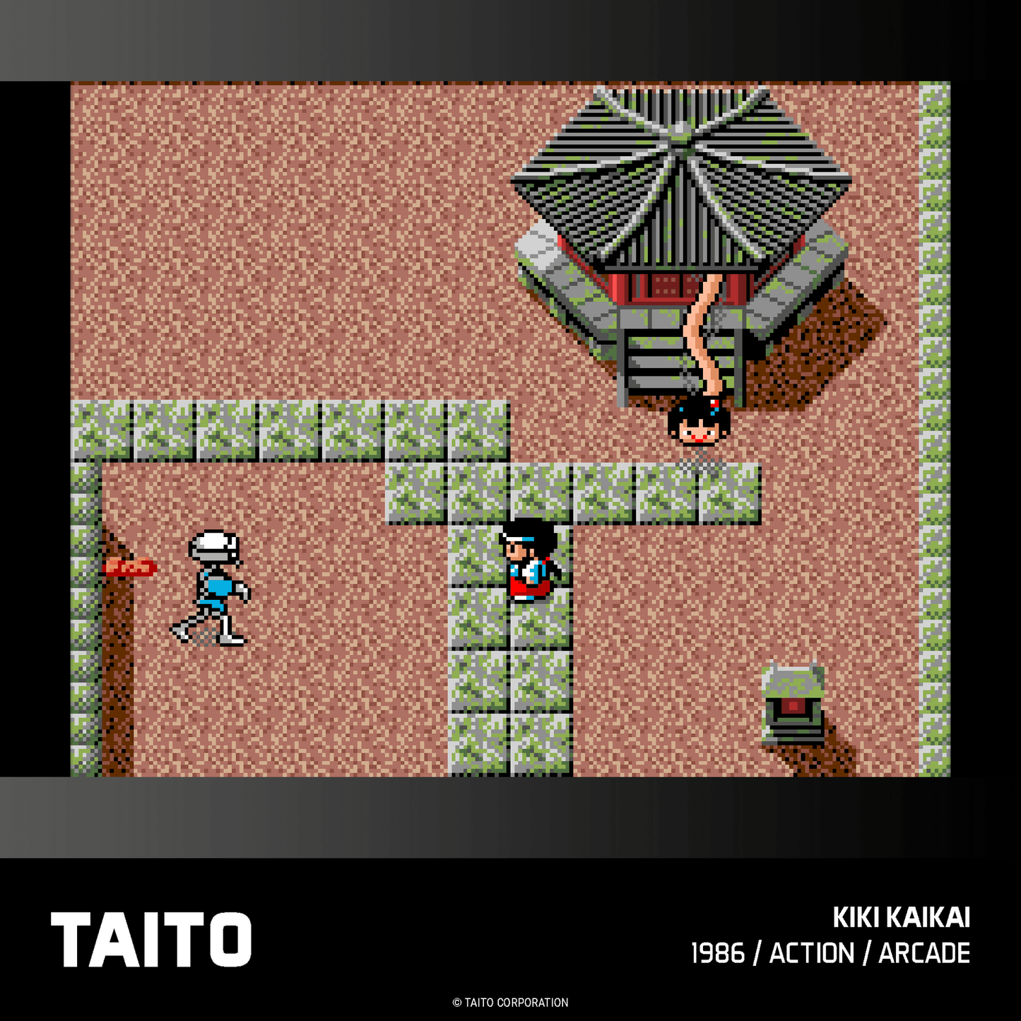 Evercade Taito Arcade Collection 2 for Game – CastleMania Games