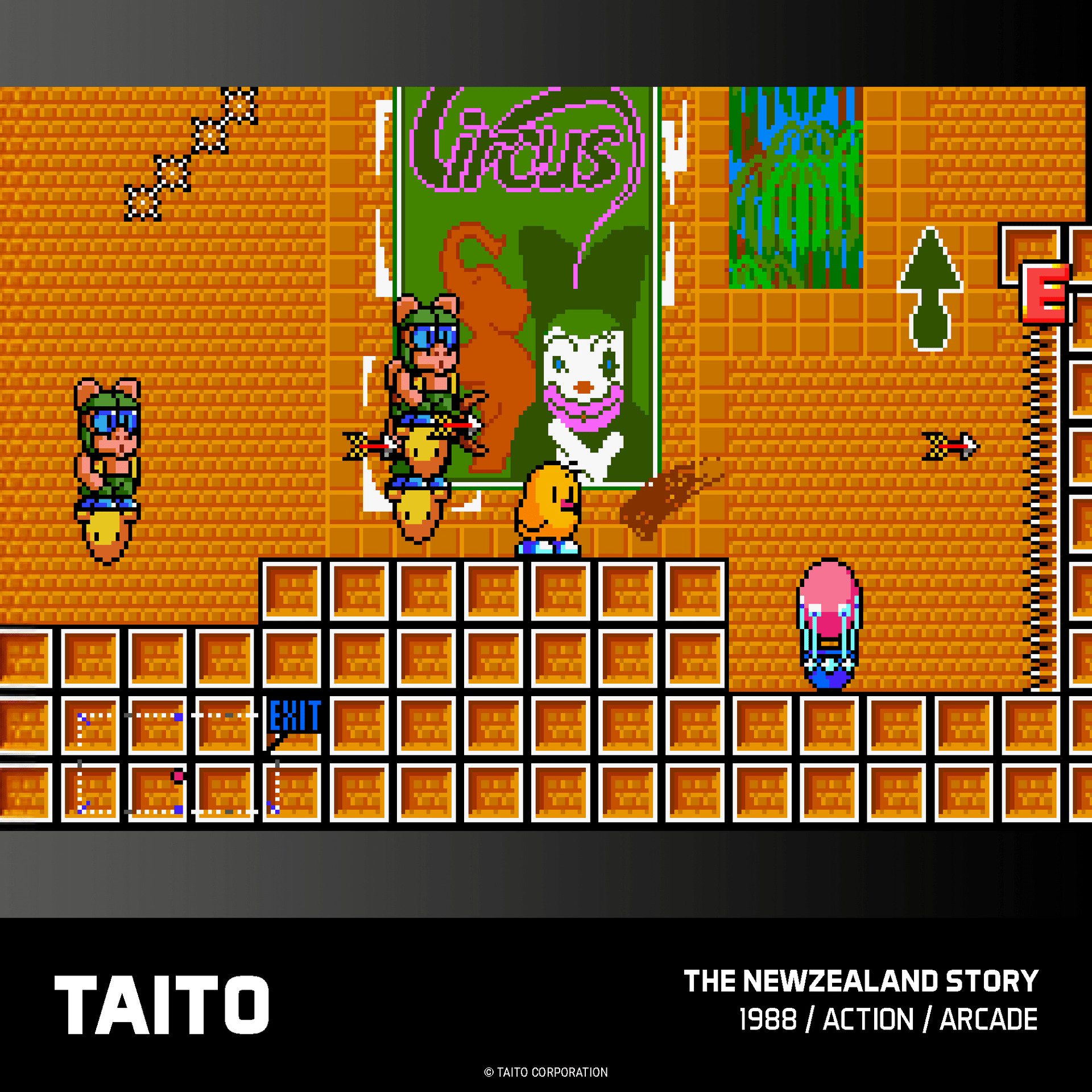 Evercade Taito Arcade Collection 2 for Game – CastleMania Games