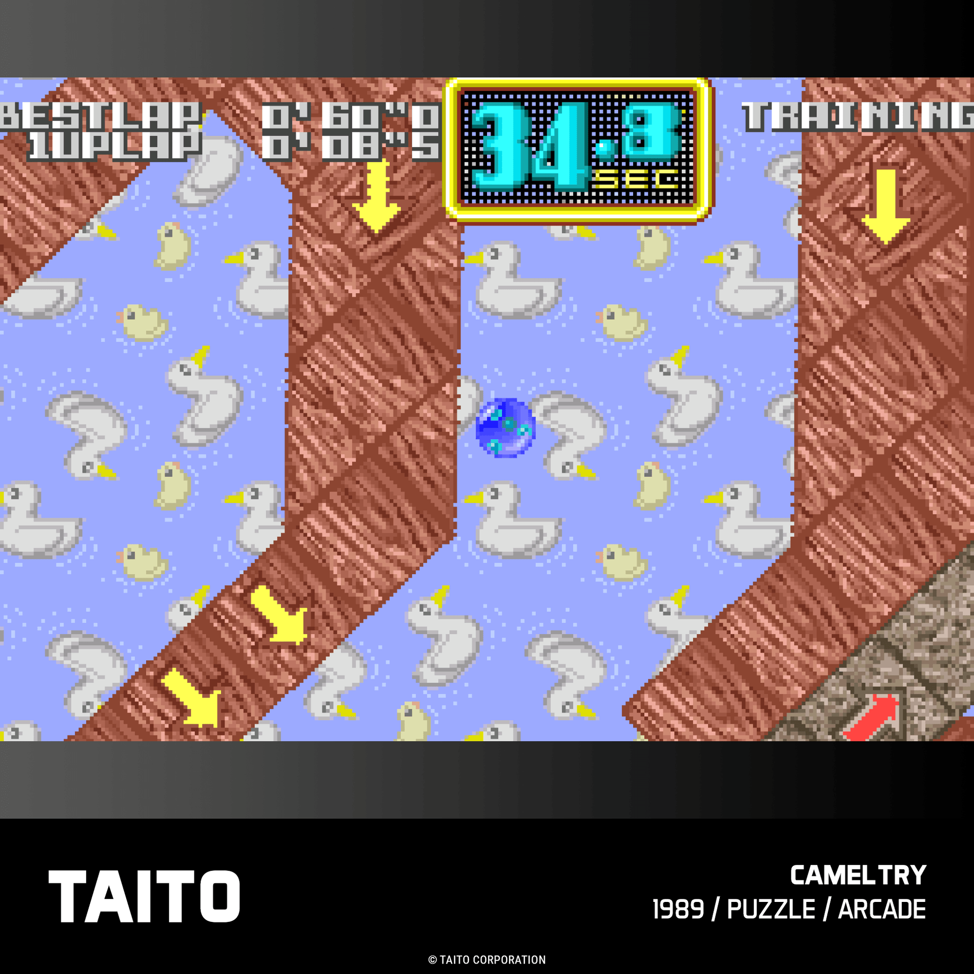Evercade Taito Arcade Collection 3 for Game – CastleMania Games