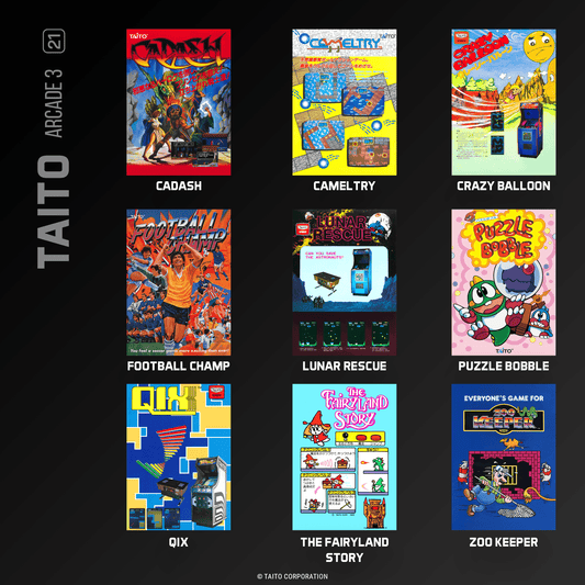 Evercade Taito Arcade Collection 3 for Game – CastleMania Games