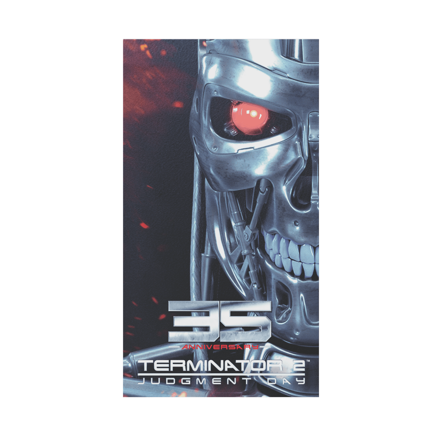 Retro Fighters Terminator 2® Mini VHS Cassette Switch Game Case for Controller – CastleMania Games
