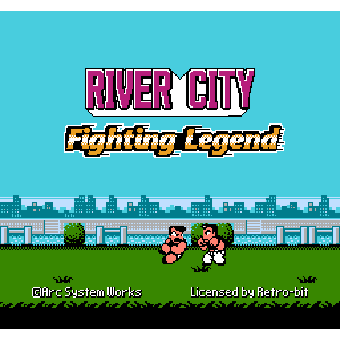 River City Fighting Legend for NES Game – CastleMania Games